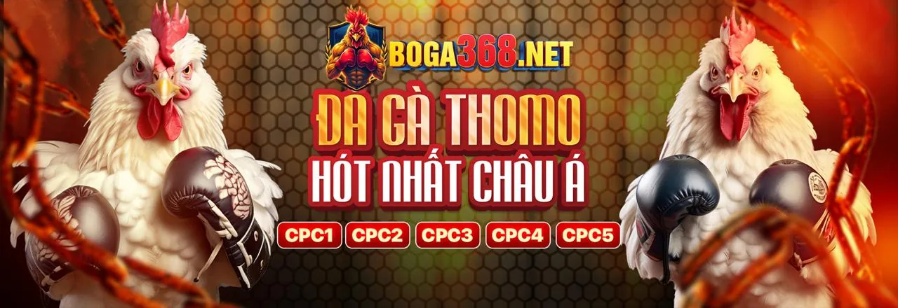 Tiền thưởng chào mừng 555win slot