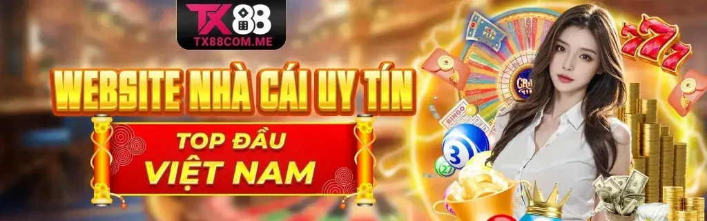 Cá cược thể thao 555win slot với sân vận động rực rỡ