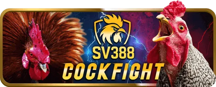 Người chia bài chuyên nghiệp tại sòng bạc trực tiếp 555win slot