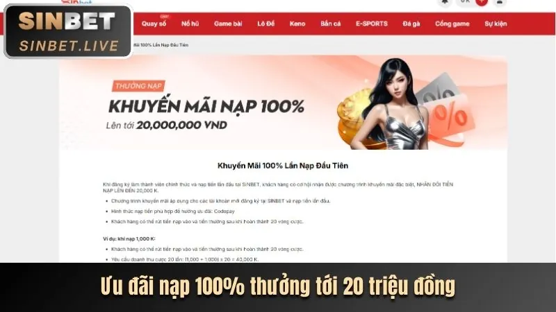 Ưu đãi hàng ngày và hàng tuần 555win Slot